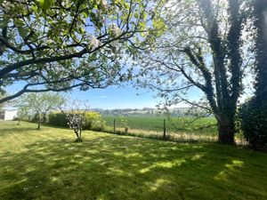 Photo 24- click for photo gallery